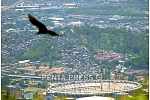 pentapress