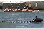 pentapress