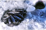 pentapress